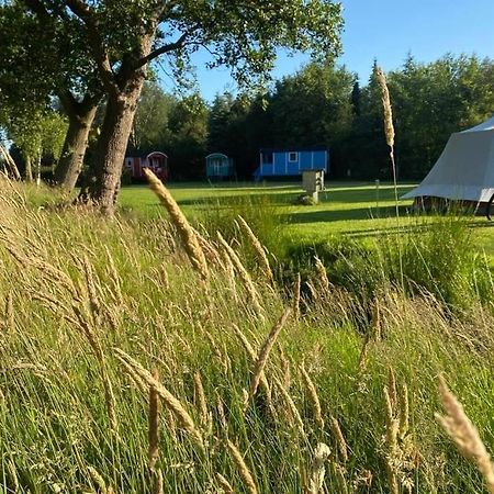 Pipowagens Bij Pannenkoekenrestaurant & Camping De Koppenjan 'Een Uniek Verblijf Met Kinderspeelboerderij' Jubbega-Schurega Buitenkant foto