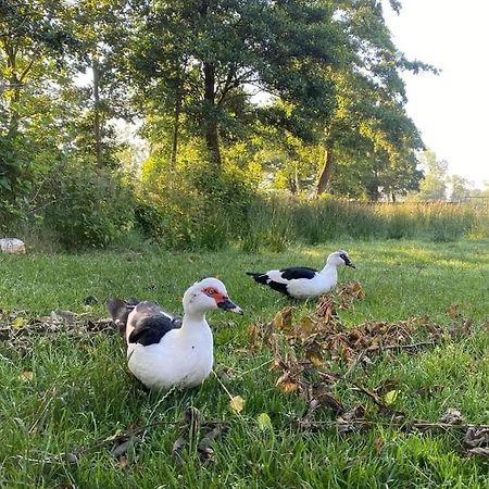 Pipowagens Bij Pannenkoekenrestaurant & Camping De Koppenjan 'Een Uniek Verblijf Met Kinderspeelboerderij' Jubbega-Schurega Buitenkant foto