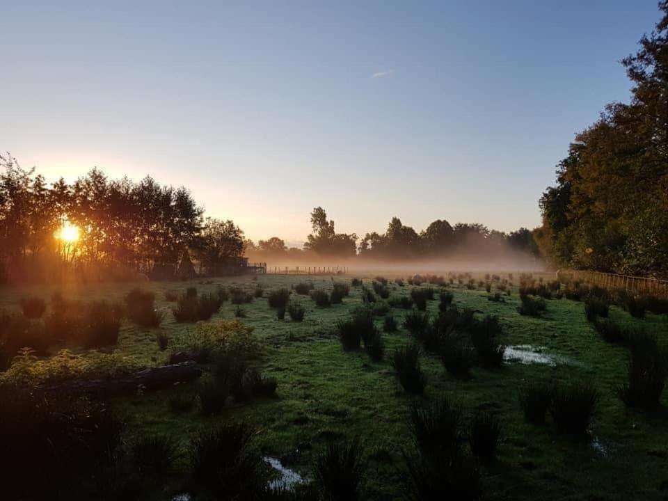 Pipowagens Bij Pannenkoekenrestaurant & Camping De Koppenjan 'Een Uniek Verblijf Met Kinderspeelboerderij' Jubbega-Schurega Buitenkant foto