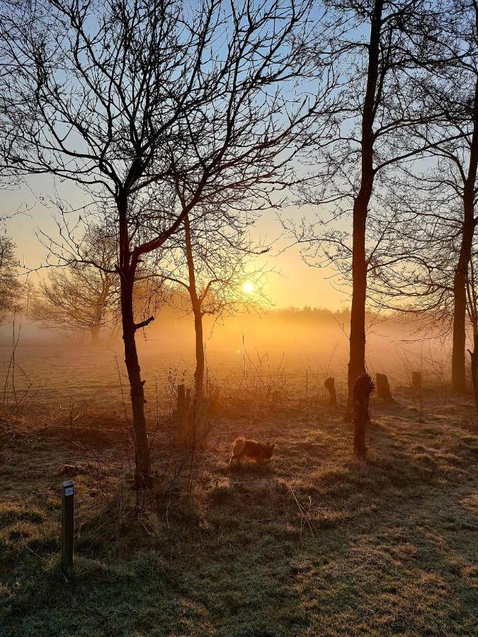 Pipowagens Bij Pannenkoekenrestaurant & Camping De Koppenjan 'Een Uniek Verblijf Met Kinderspeelboerderij' Jubbega-Schurega Buitenkant foto