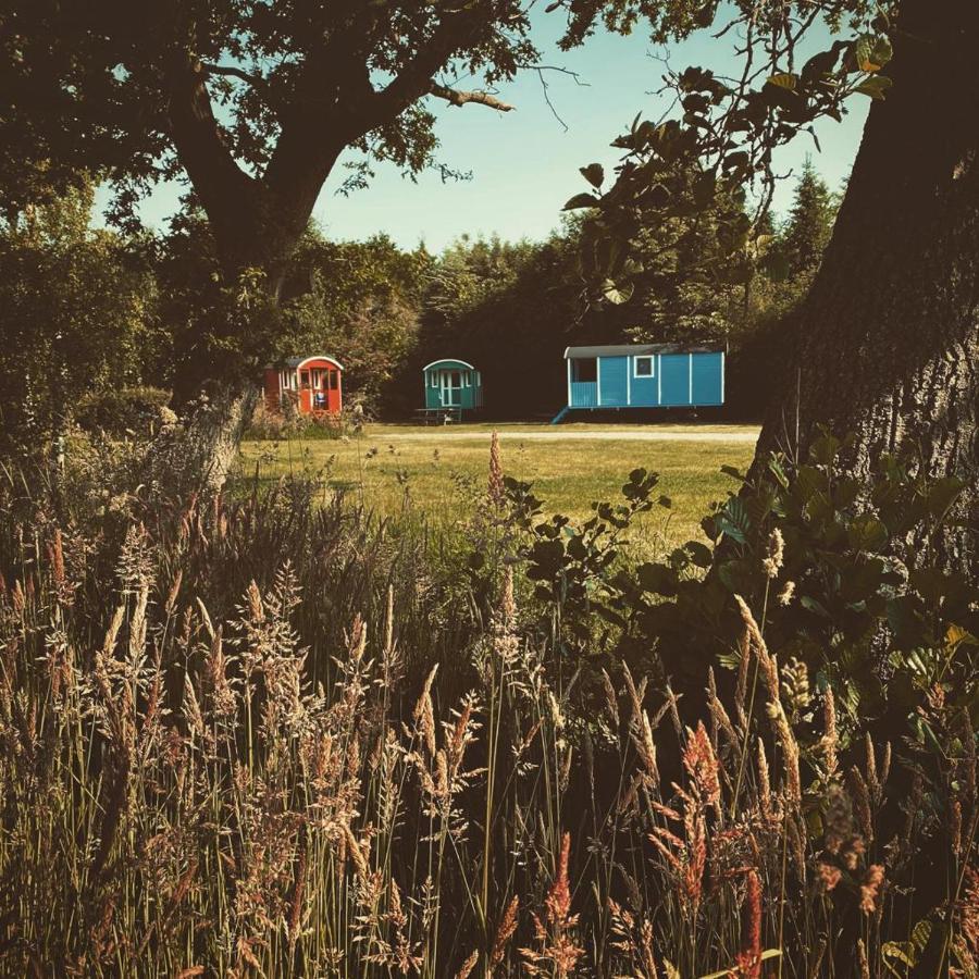 Pipowagens Bij Pannenkoekenrestaurant & Camping De Koppenjan 'Een Uniek Verblijf Met Kinderspeelboerderij' Jubbega-Schurega Buitenkant foto