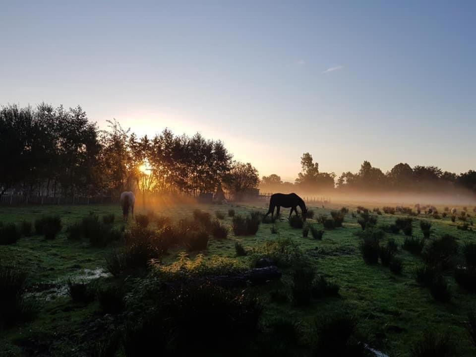 Pipowagens Bij Pannenkoekenrestaurant & Camping De Koppenjan 'Een Uniek Verblijf Met Kinderspeelboerderij' Jubbega-Schurega Buitenkant foto