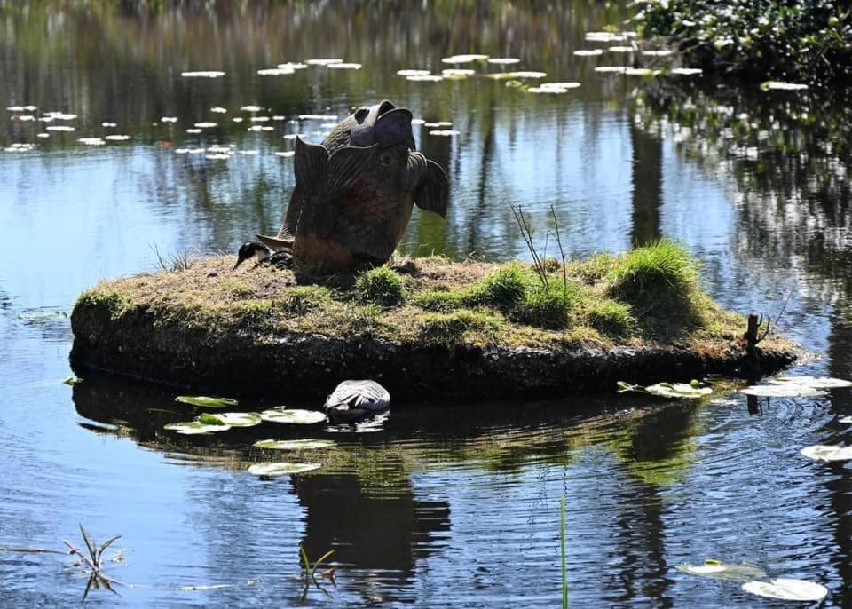 Pipowagens Bij Pannenkoekenrestaurant & Camping De Koppenjan 'Een Uniek Verblijf Met Kinderspeelboerderij' Jubbega-Schurega Buitenkant foto