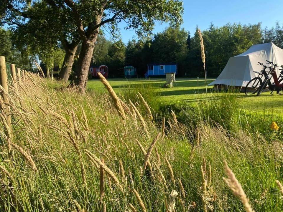 Pipowagens Bij Pannenkoekenrestaurant & Camping De Koppenjan 'Een Uniek Verblijf Met Kinderspeelboerderij' Jubbega-Schurega Buitenkant foto